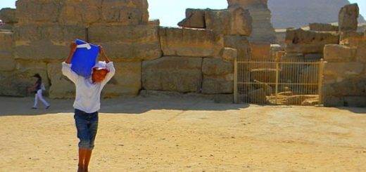 e2e265b20b1ec33ef0f7908a0ed5d079