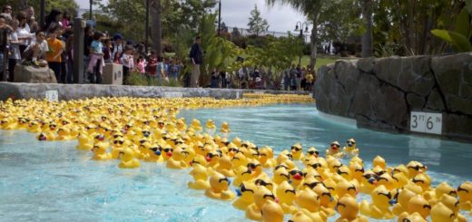 3db052e982c3c7e1ce7c80c3640181e3