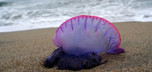 53d2ed1eae25702f3443329d98ef065d