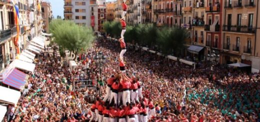 b51931d6d8cfe0fc09fdd3767891cedc