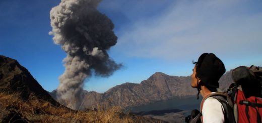 e19203e0906e622c530c358b12540295