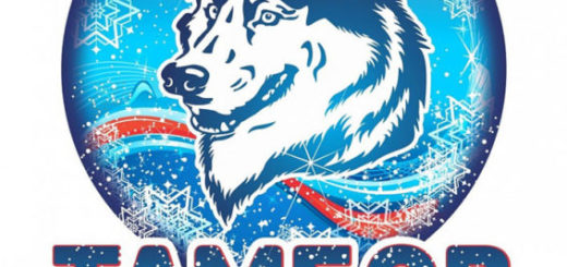 Тамбов – новогодняя столица России