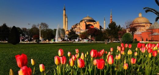 turkey