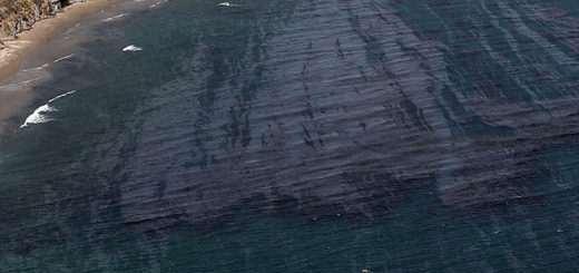 Разлив нефти