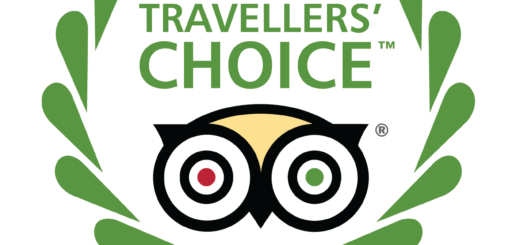 Travelers_choice