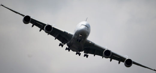 Авиадебоширы на самолете