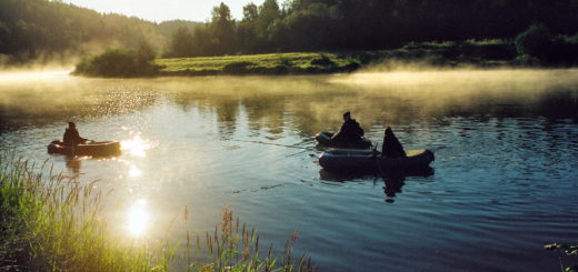 Экологический туризм