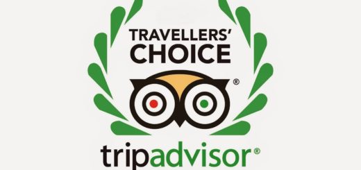 TripAdvisor Travellers’ Choice Award