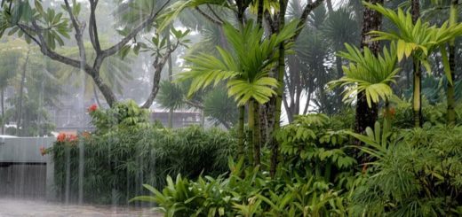 Таиланд ливни