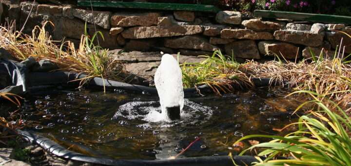 Белокуриха